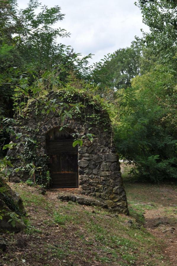 Apartamento "El Lila" - Parking Incluido Olot Exteriér fotografie